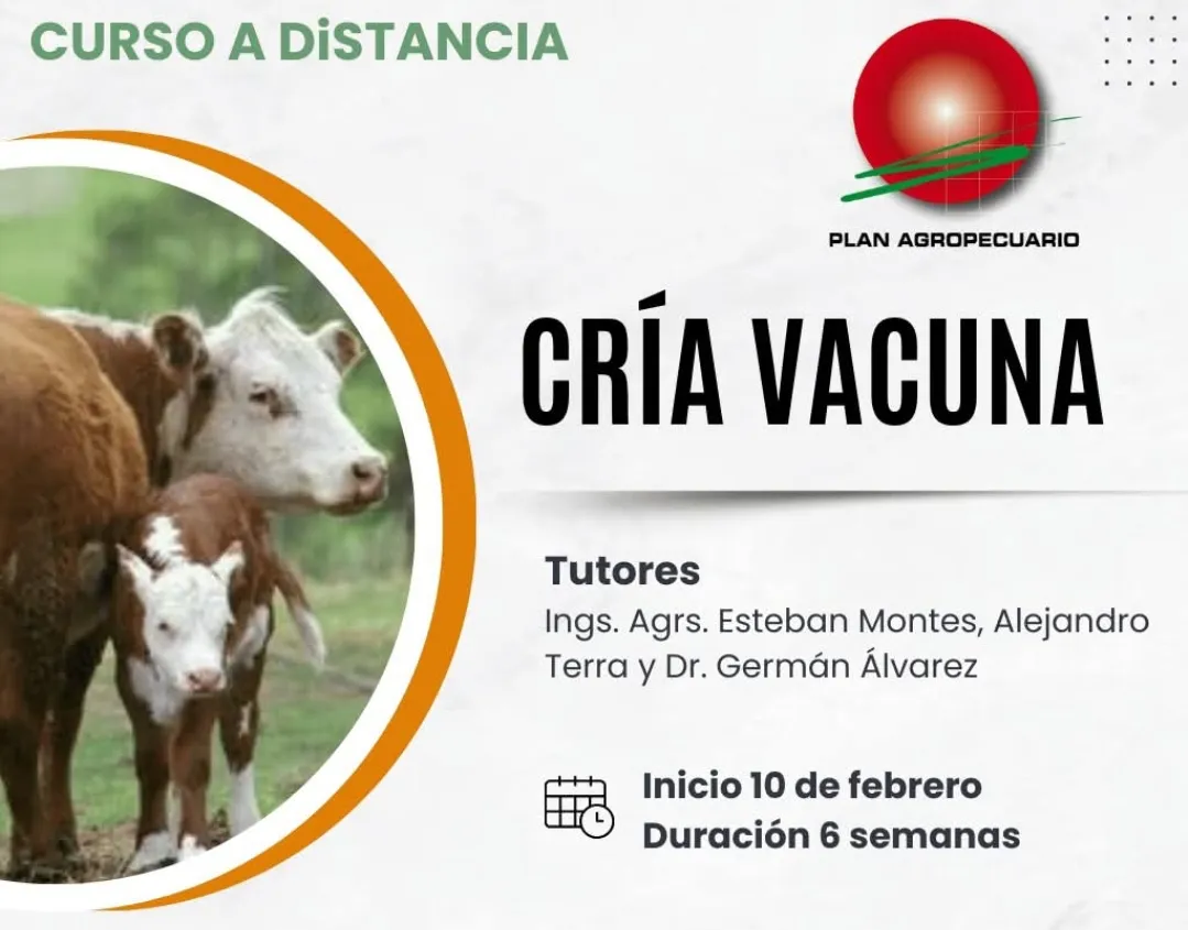 Screenshot_20250113_121859_Facebook