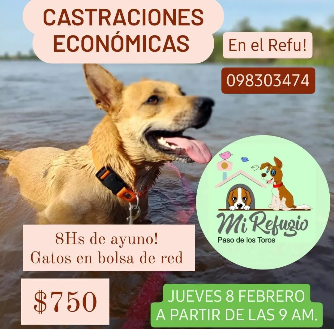 425836122_706220418374422_1377755337752188206_n