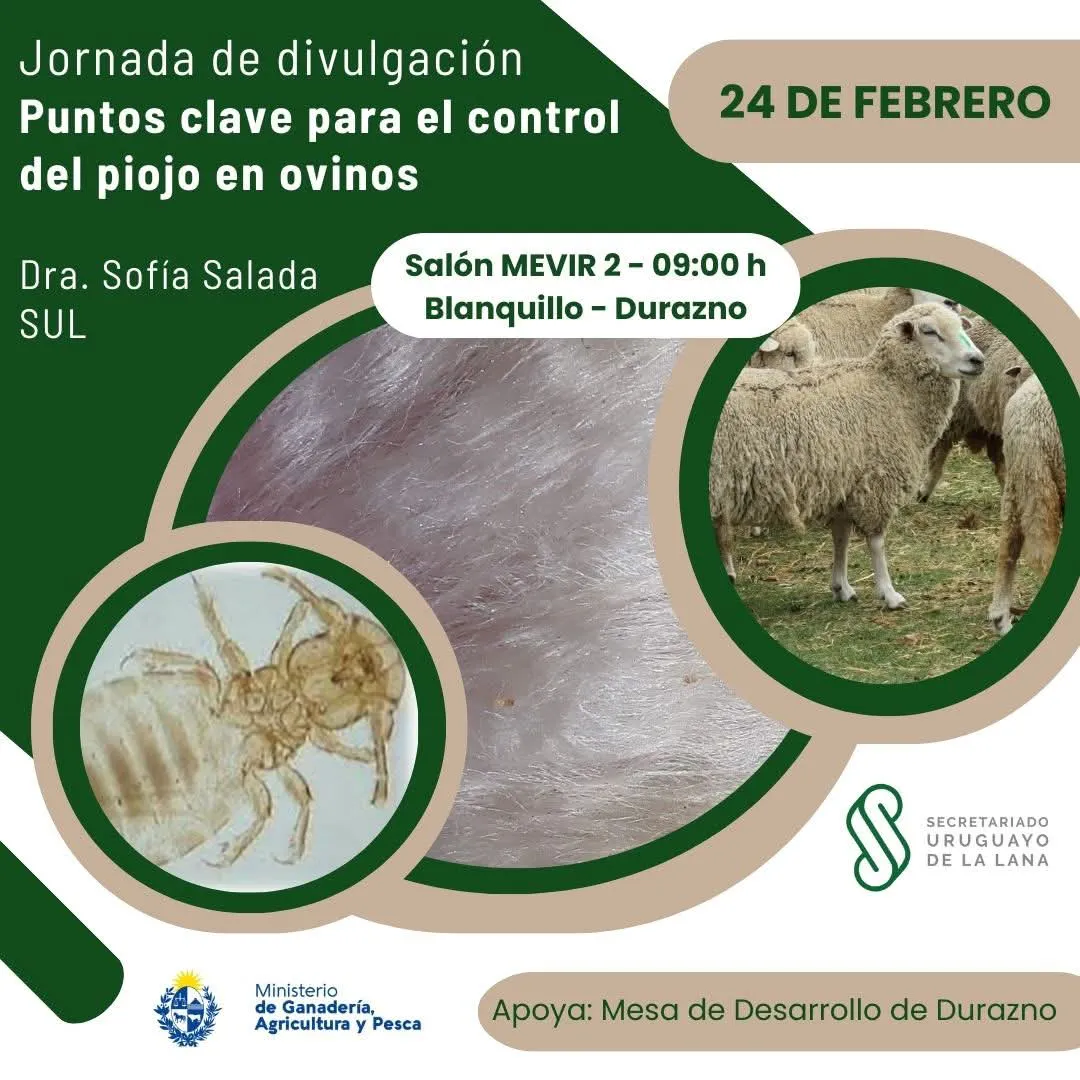 FB_IMG_1740251093029