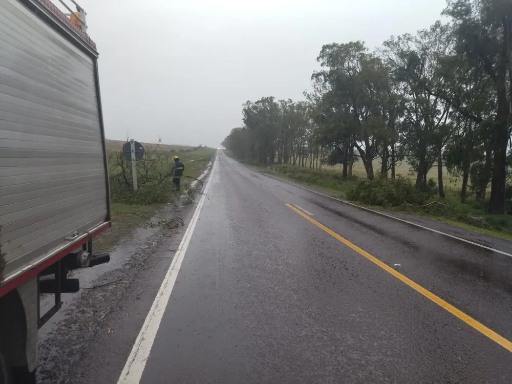 WhatsApp Image 2024-03-14 at 16.02.36