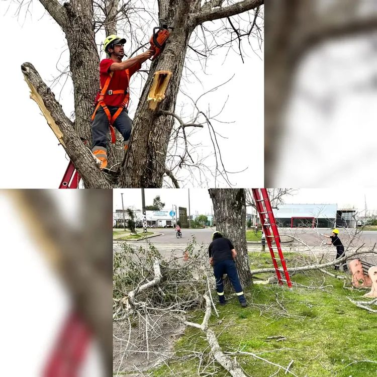 WhatsApp Image 2024-07-25 at 09.47.51 (1)