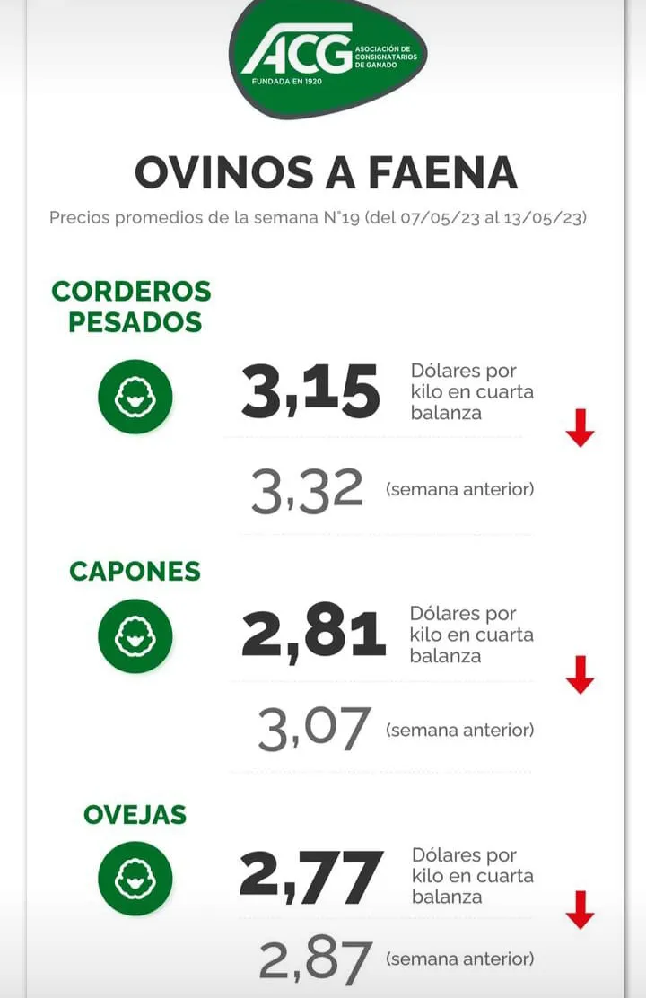 WhatsApp Image 2023-05-16 at 09.05.30