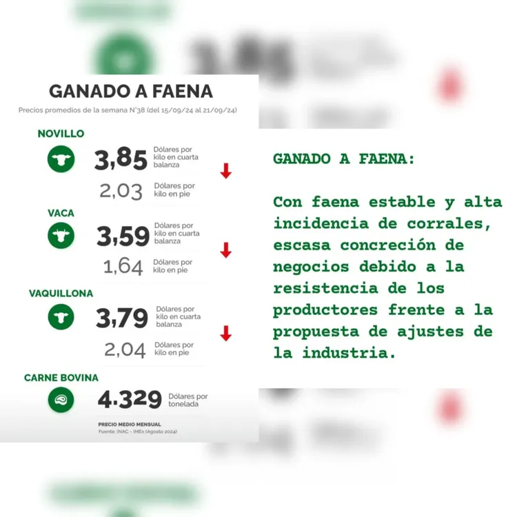 InShot_20240924_084921971