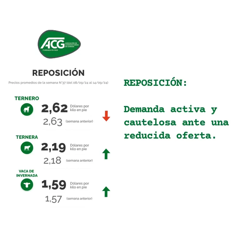 InShot_20240917_114300175