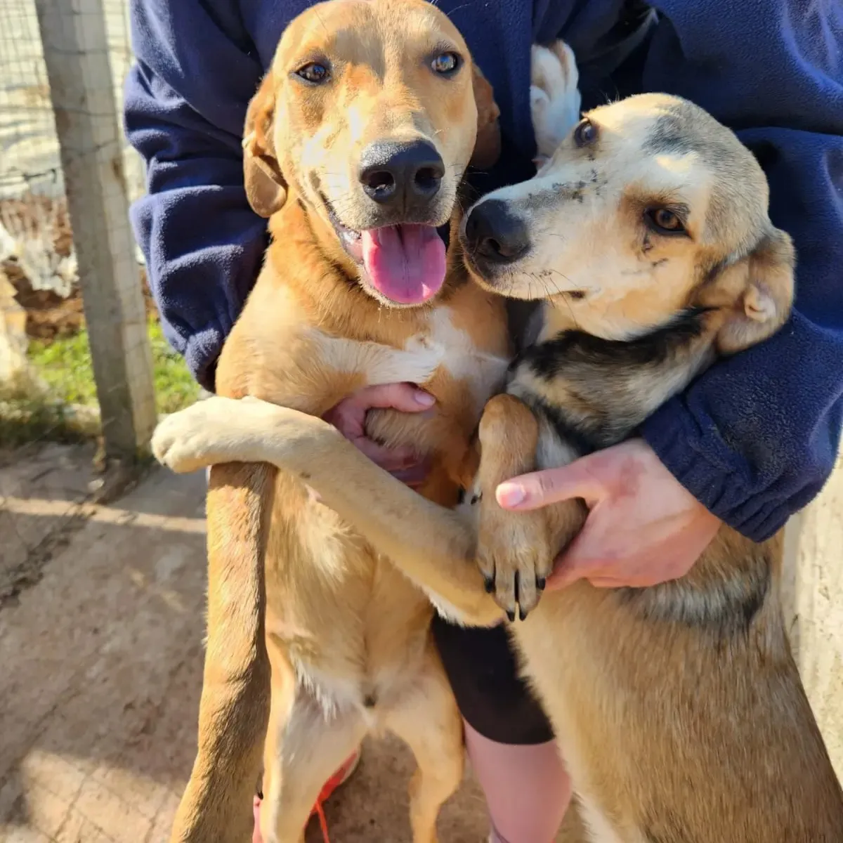 451028229_511213701257727_713437739993422351_n