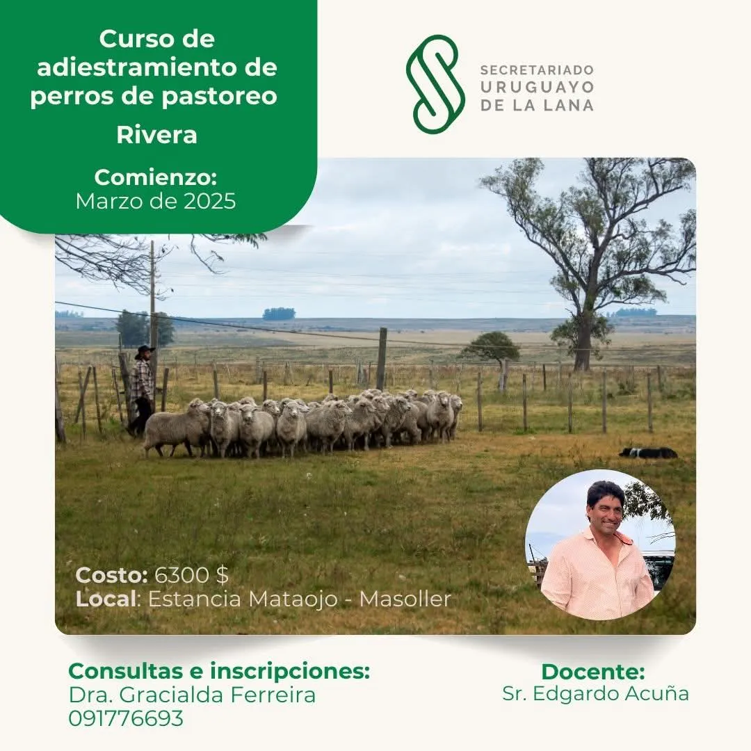 FB_IMG_1737993254744