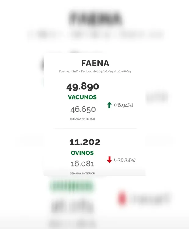 InShot_20240813_100709377