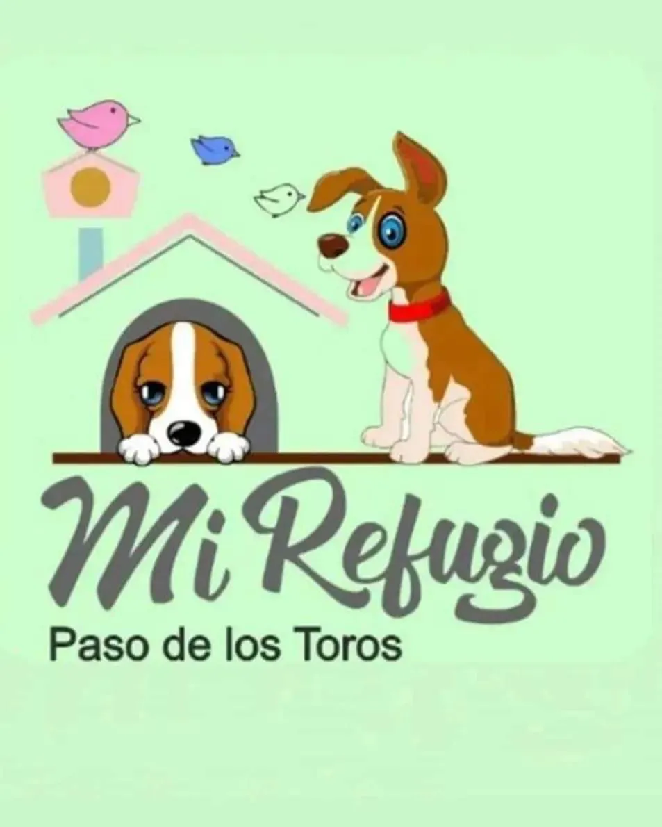 FB_IMG_1706710431757