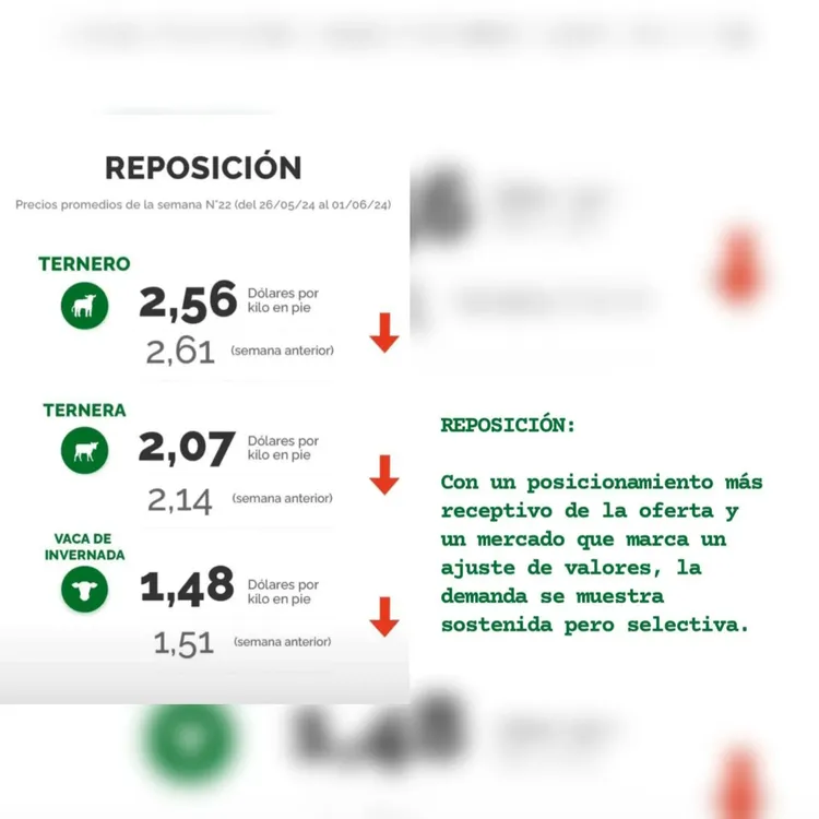 InShot_20240604_091329565