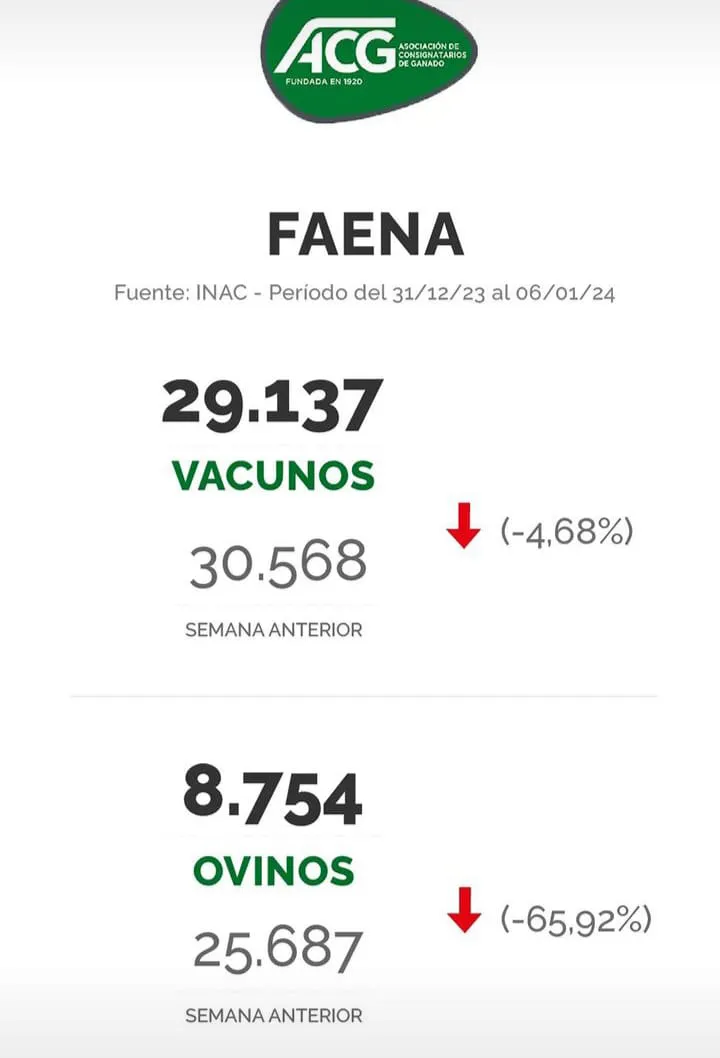 WhatsApp Image 2024-01-09 at 08.34.38