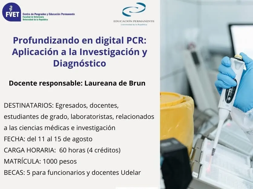 Screenshot_20250720_012249_Facebook