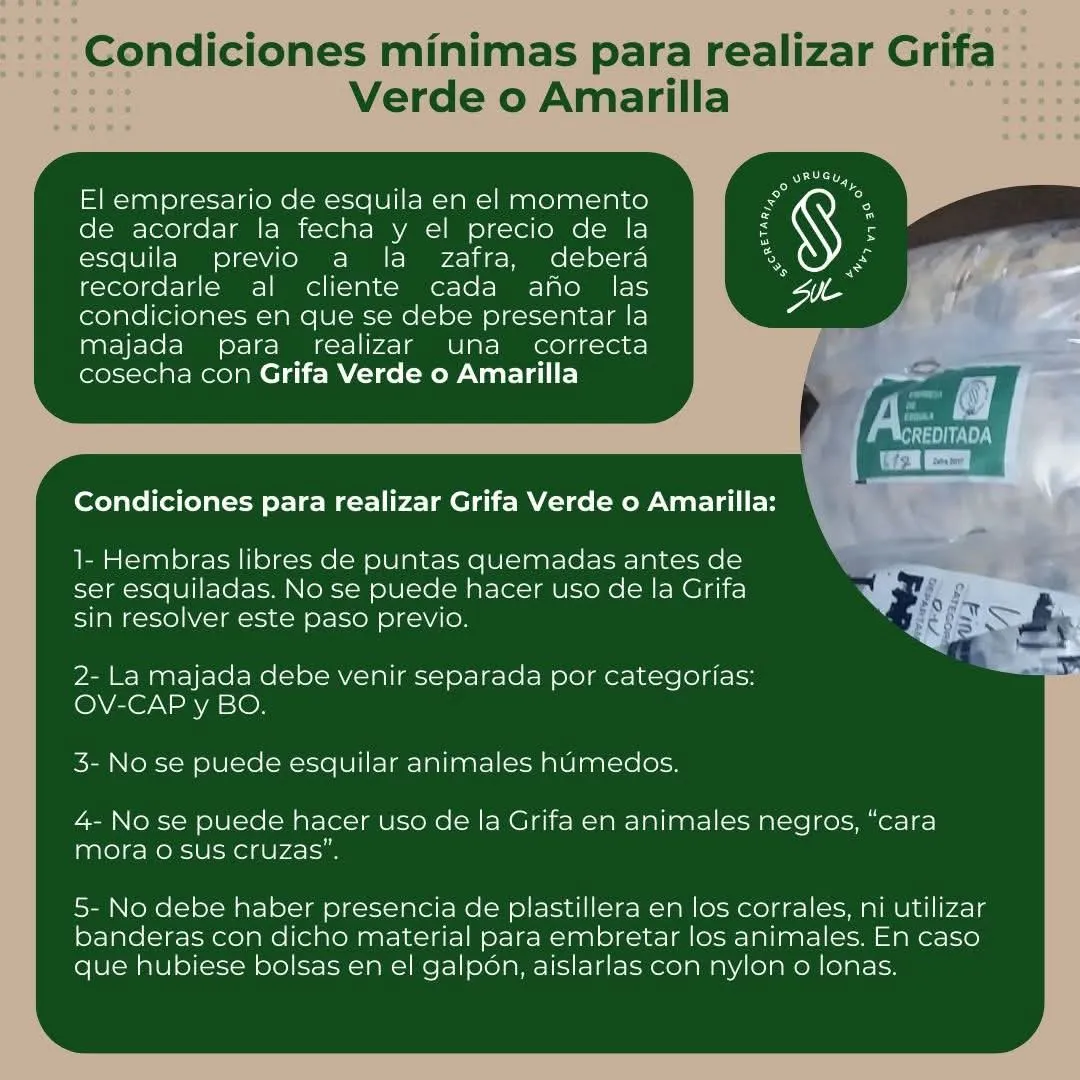 FB_IMG_1743548069529