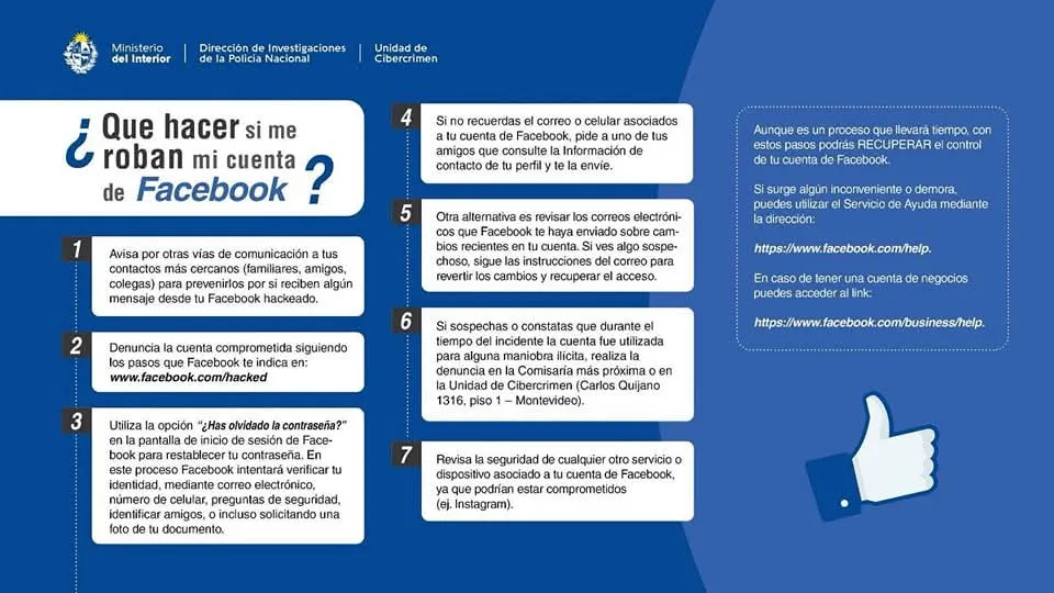 FB_IMG_1740567798649