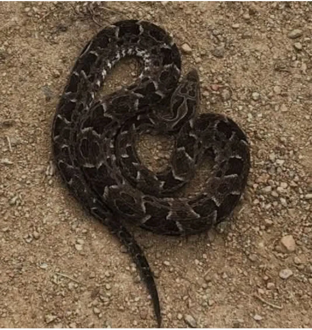 Screenshot_2025-04-18-13-26-36-399_com.facebook.katana-edit