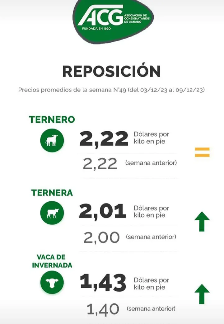 WhatsApp Image 2023-12-12 at 12.04.47