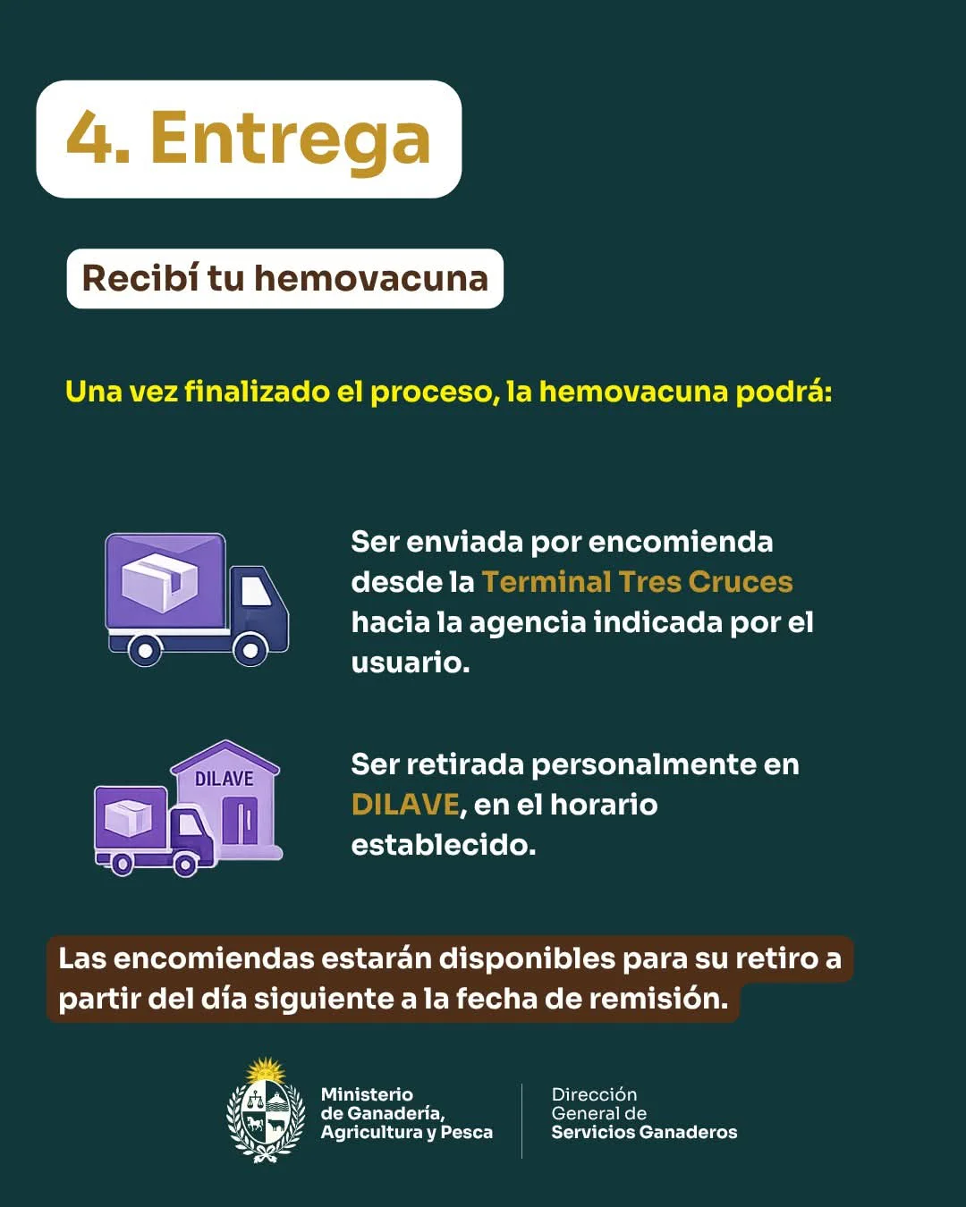 FB_IMG_1778693360979