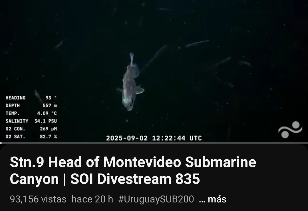 Screenshot_20250903_053135_YouTube