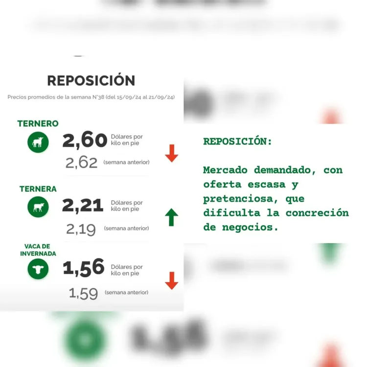 InShot_20240924_084846258