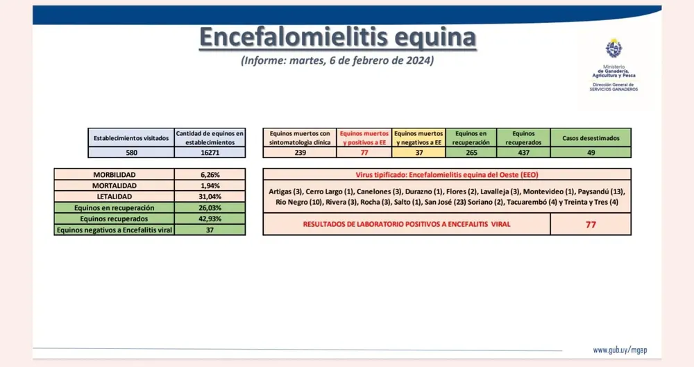 WhatsApp Image 2024-02-06 at 15.40.46 (1)