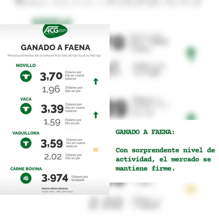 InShot_20240604_091417152