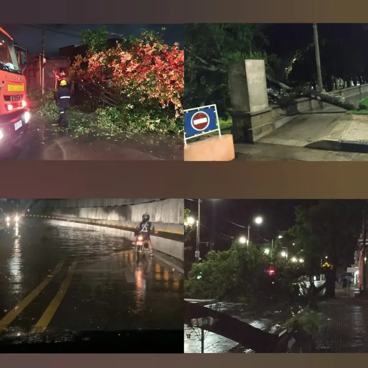 WhatsApp Image 2024-03-20 at 09.03.25