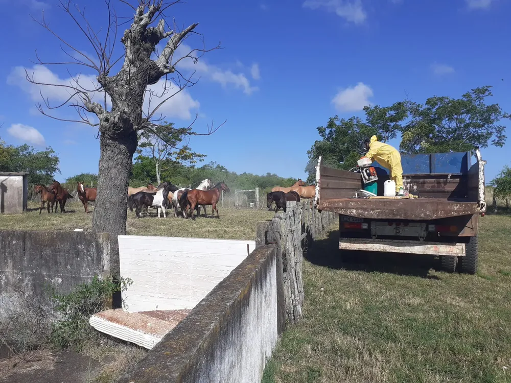 422169040_348898841241042_4591626589013374059_n