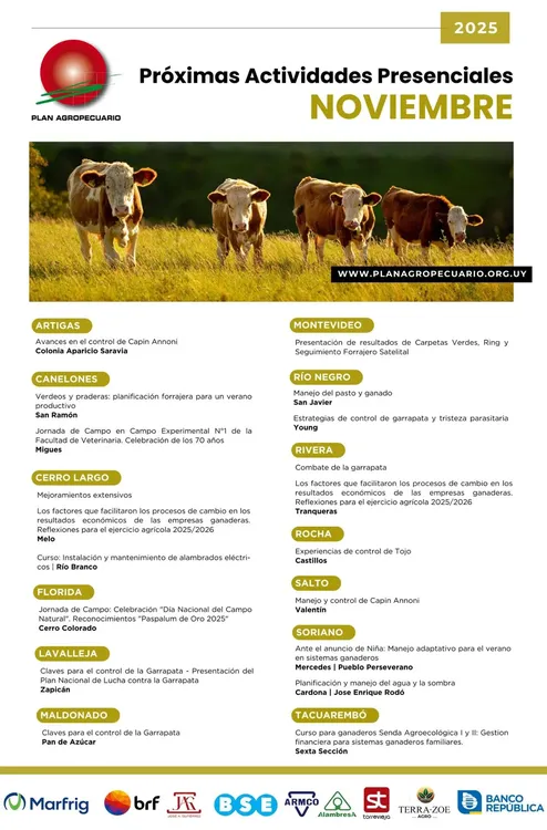 FB_IMG_1762193109093