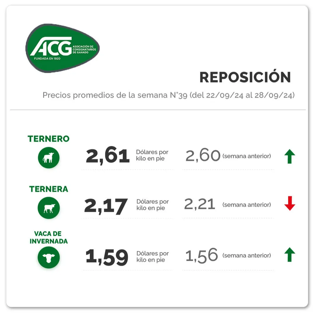 Screenshot_20241002_085711_Instagram