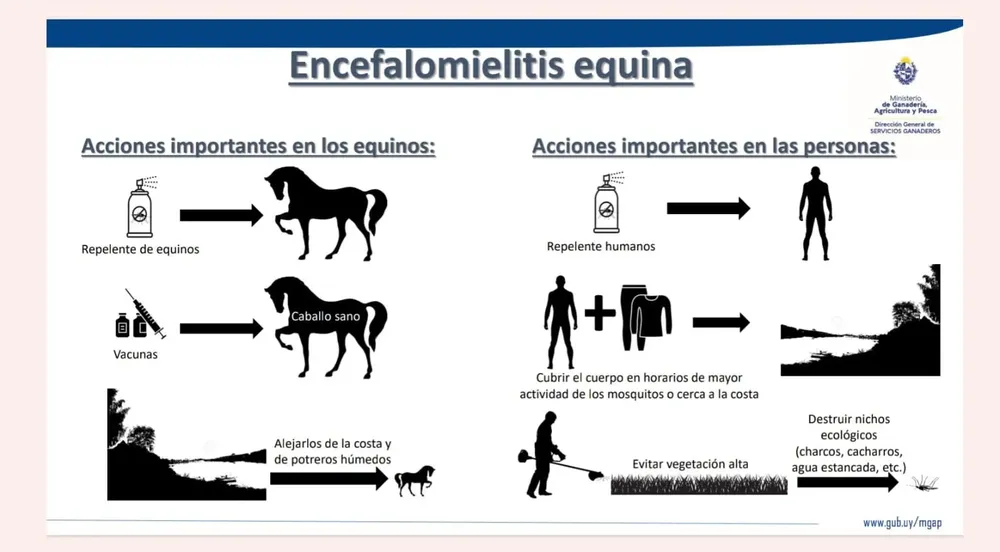 WhatsApp Image 2024-02-06 at 15.40.47 (1)