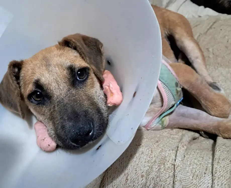 449079214_499307899114974_1577846034448477008_n