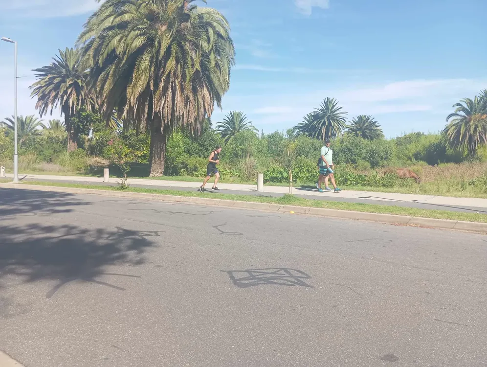 Business Suite_creation_602981695920439