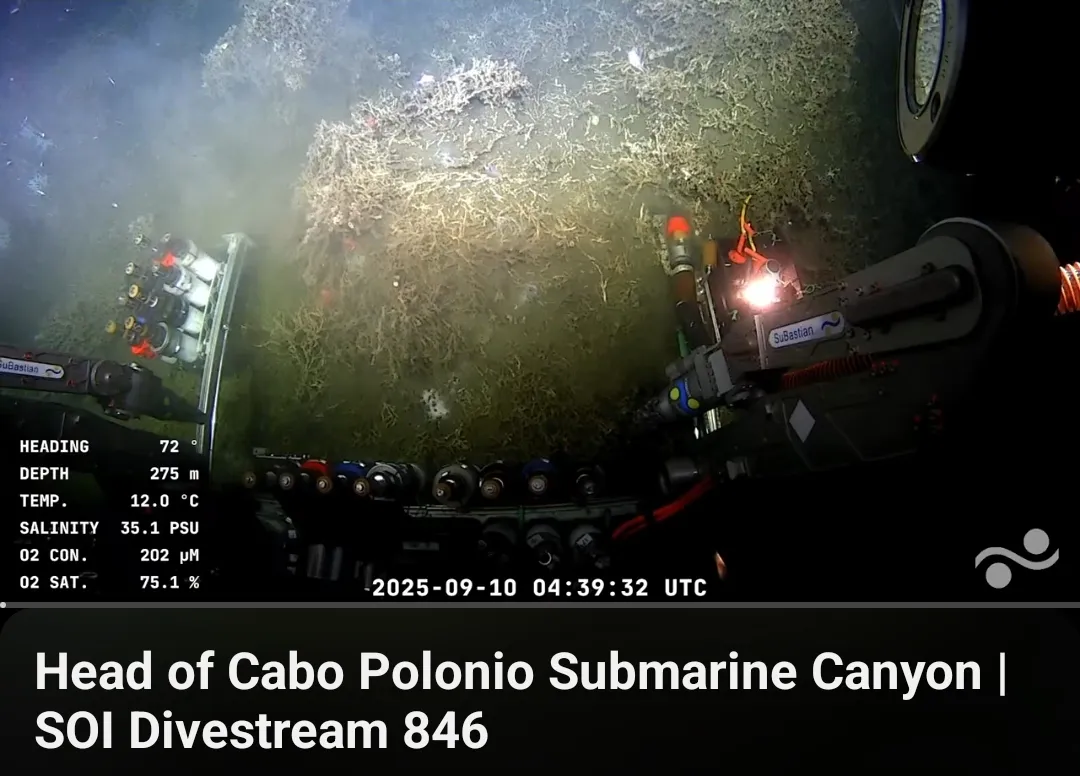 Screenshot_20250910_155646_YouTube