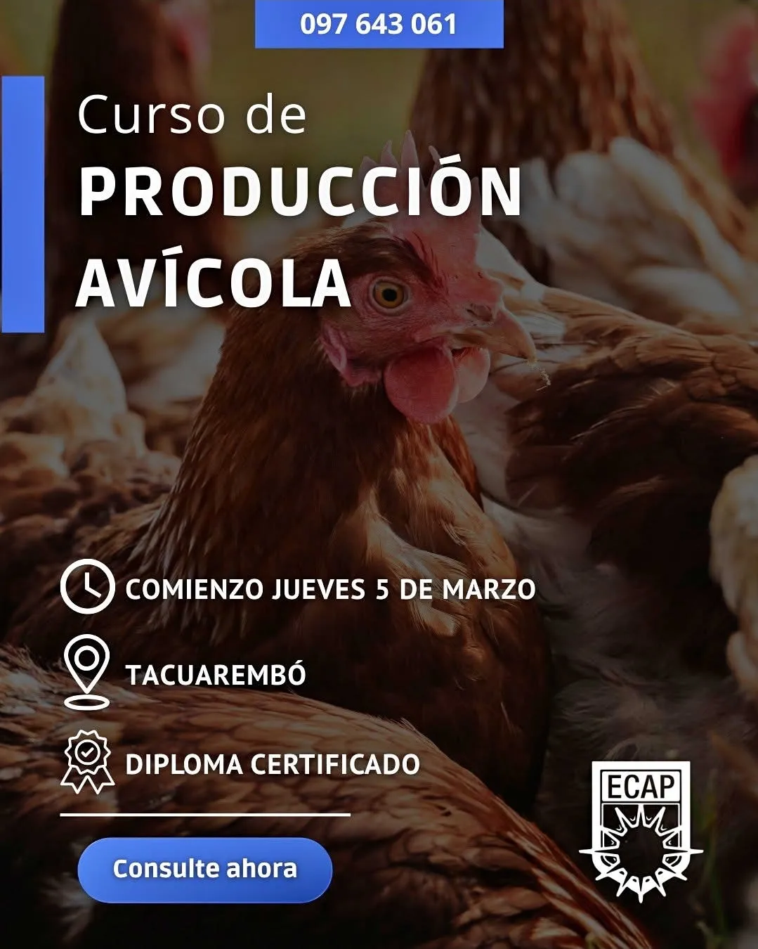 Screenshot_20251227_210432_Facebook