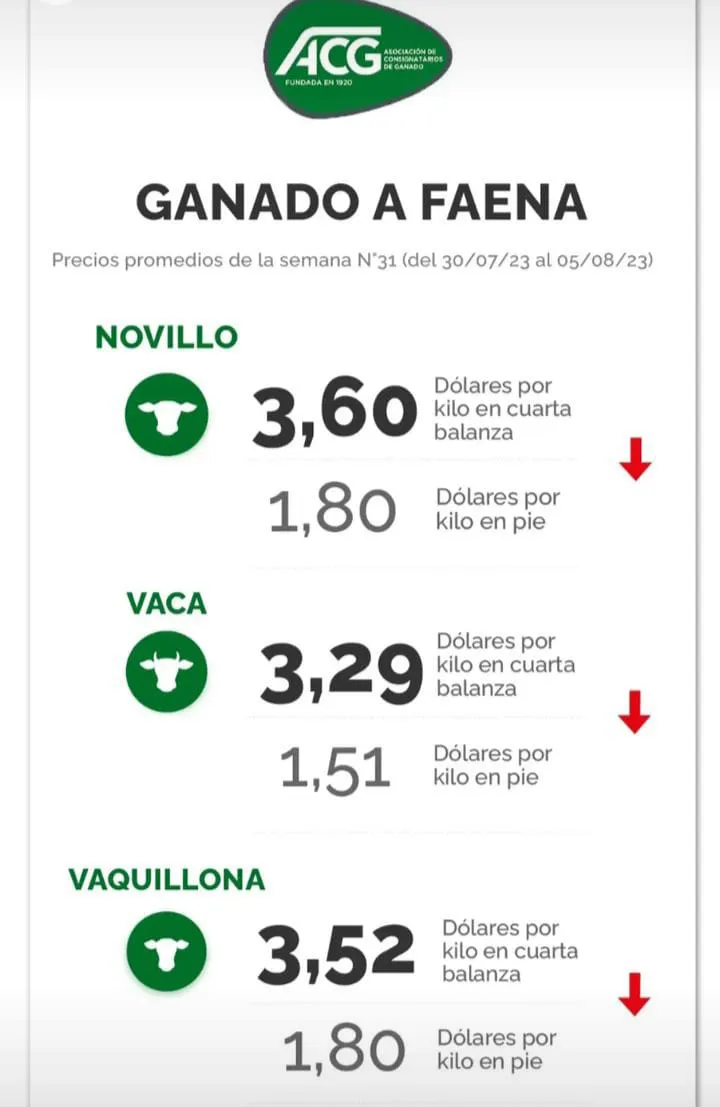 WhatsApp Image 2023-08-08 at 10.20.56