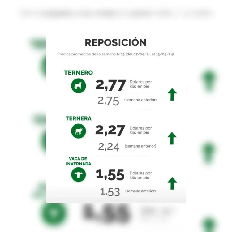 InShot_20240415_220153714