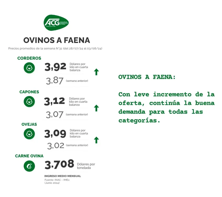 InShot_20240806_151217749