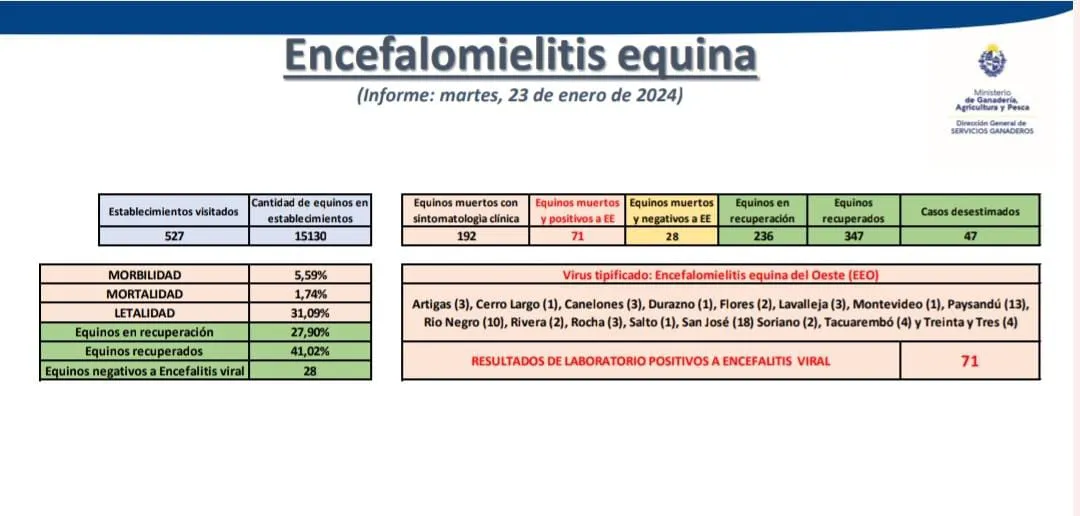 WhatsApp Image 2024-01-25 at 13.18.54