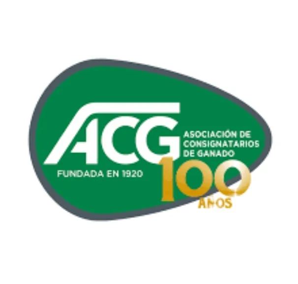 Screenshot_2024-11-12-13-45-01-327_com.android.chrome-edit