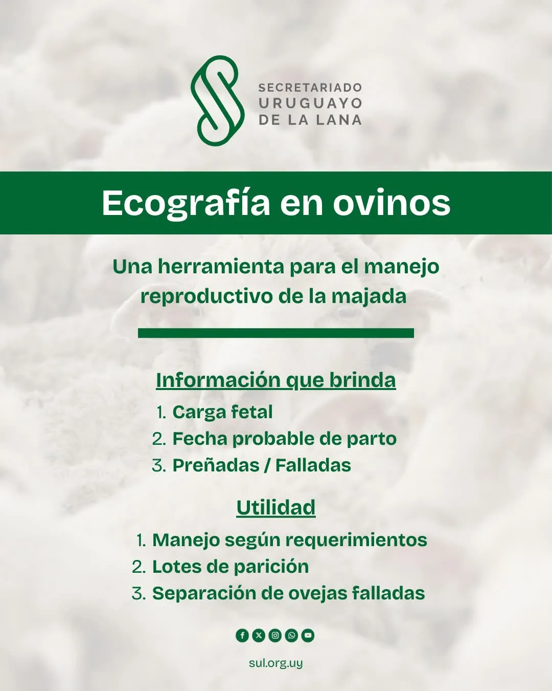 FB_IMG_1746783744258