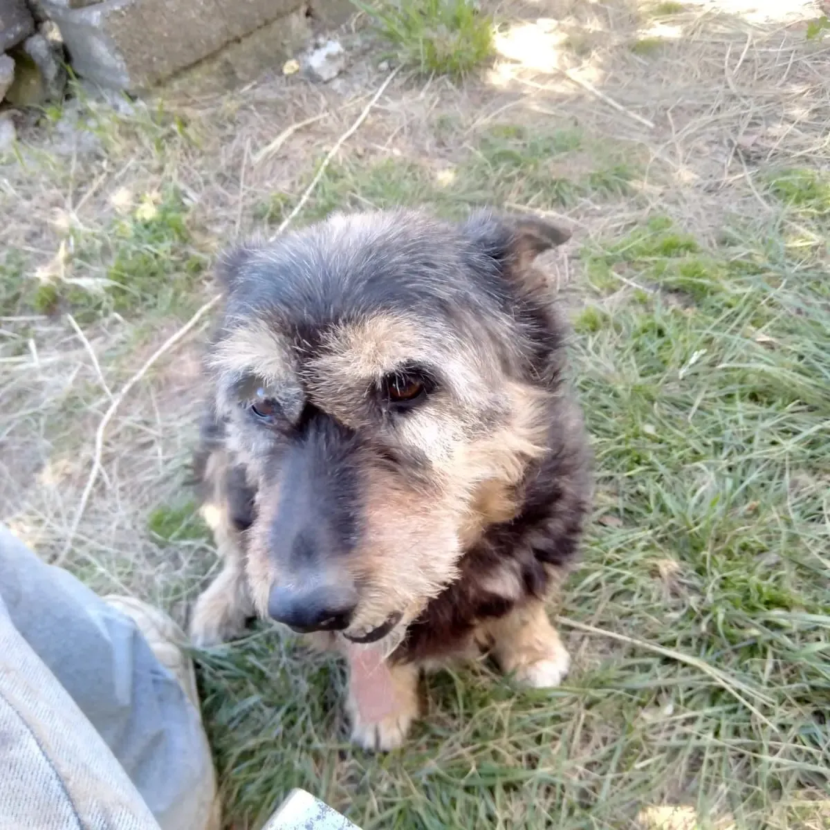 450593520_509454368100327_7380220663230340891_n