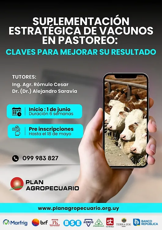 FB_IMG_1774994801627