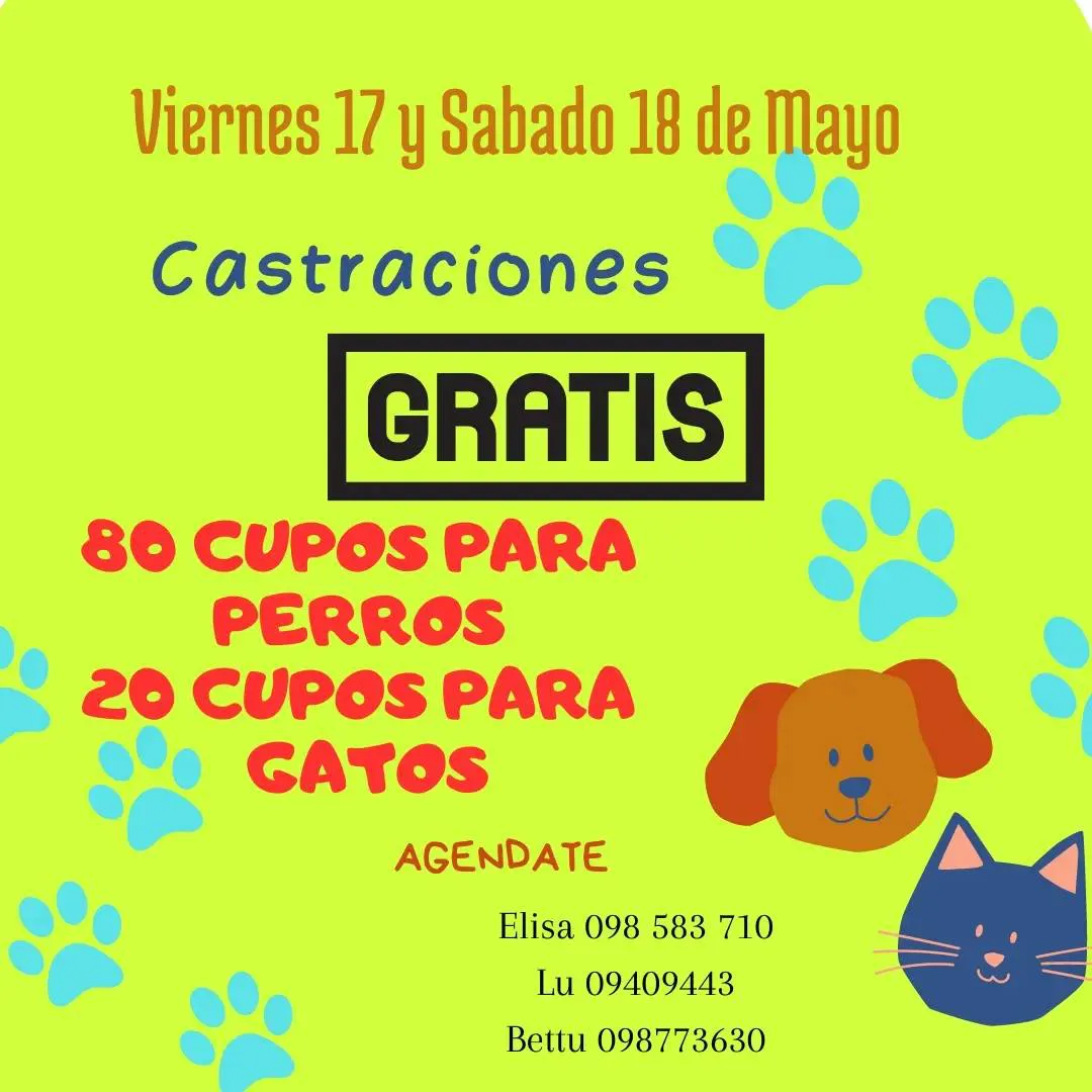 441390379_10228959278500048_6278890794627724649_n