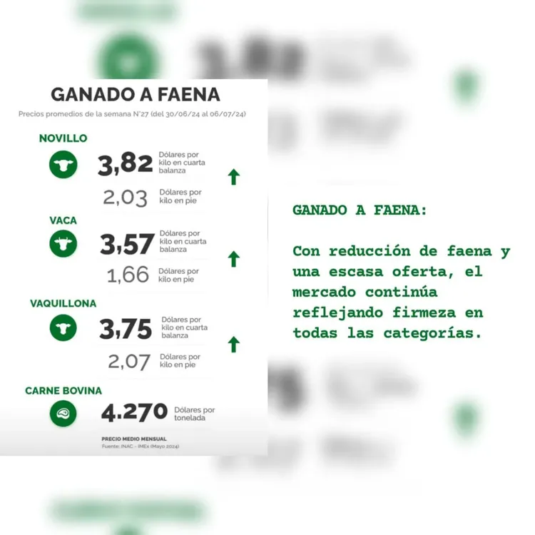 WhatsApp Image 2024-07-09 at 14.44.07