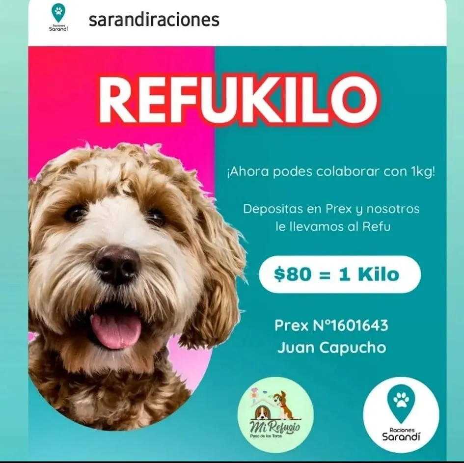 452903904_518107450568352_632476063460962186_n