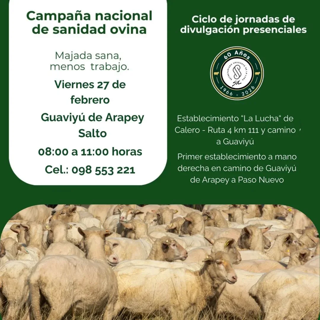 FB_IMG_1771873387291