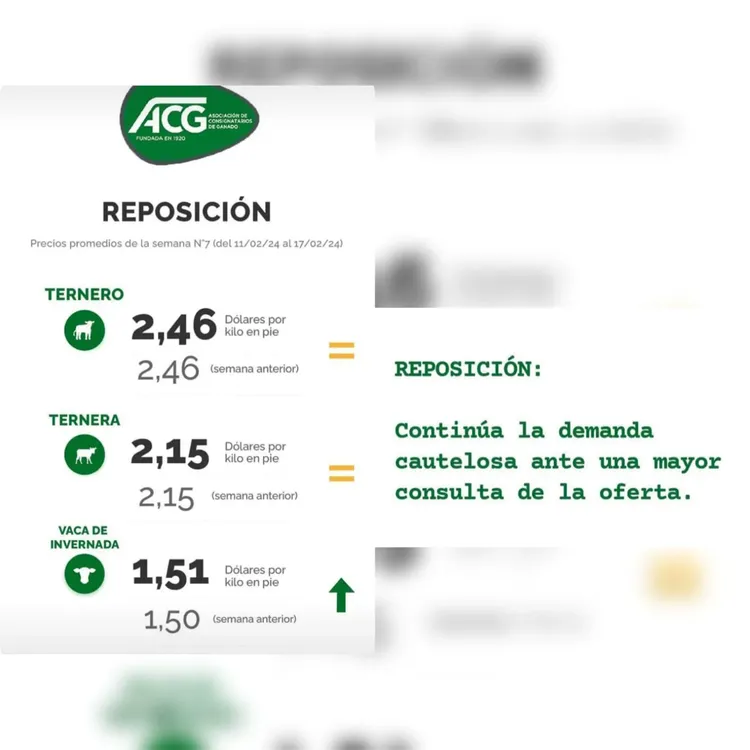 WhatsApp Image 2024-02-20 at 08.52.30 (2)