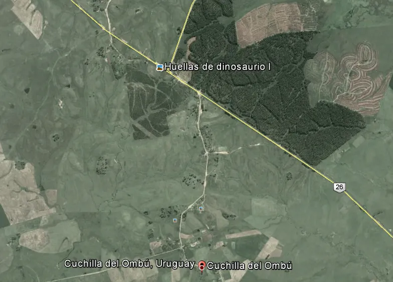 Huellas_Dinosaurios_TACUAREMBÓ