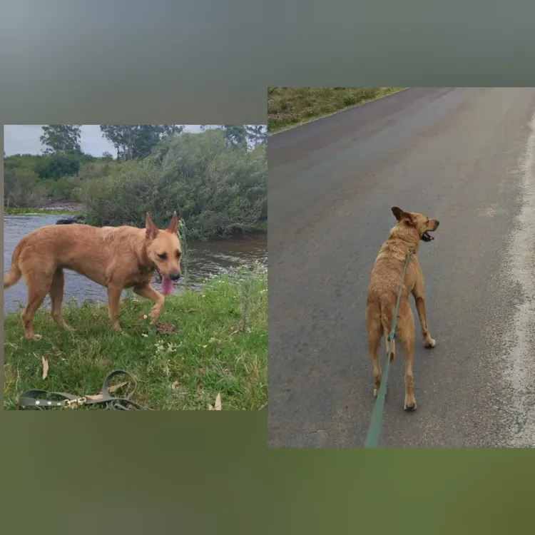 WhatsApp Image 2024-02-28 at 09.45.52