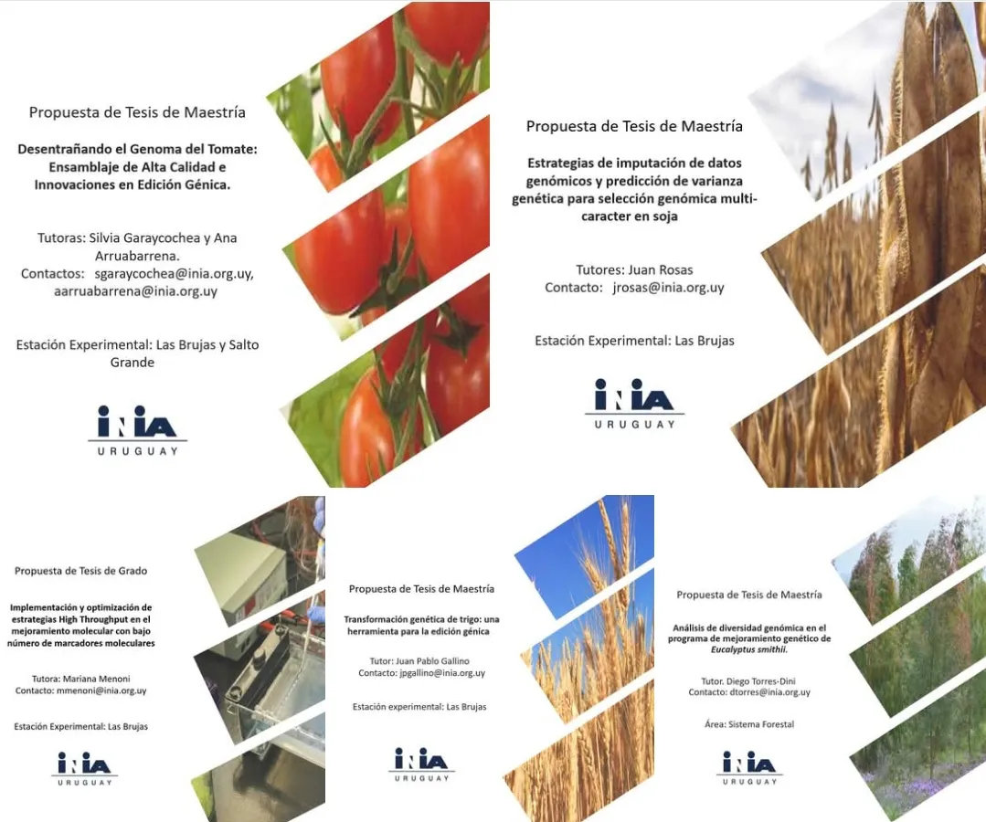 Screenshot_20250323_094437_Facebook