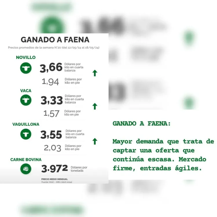 WhatsApp Image 2024-05-21 at 09.15.29